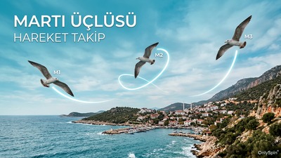 MartıÜçlüsü - OnlySpin Hareket Takip